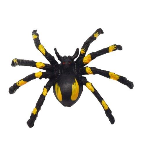 Fausses Araignées