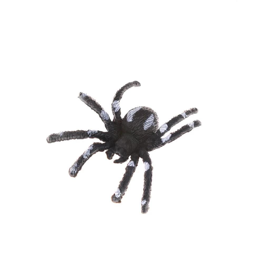 Araignée en Plastique