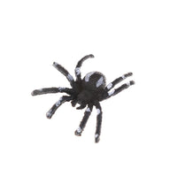 Thumbnail for Araignée en Plastique