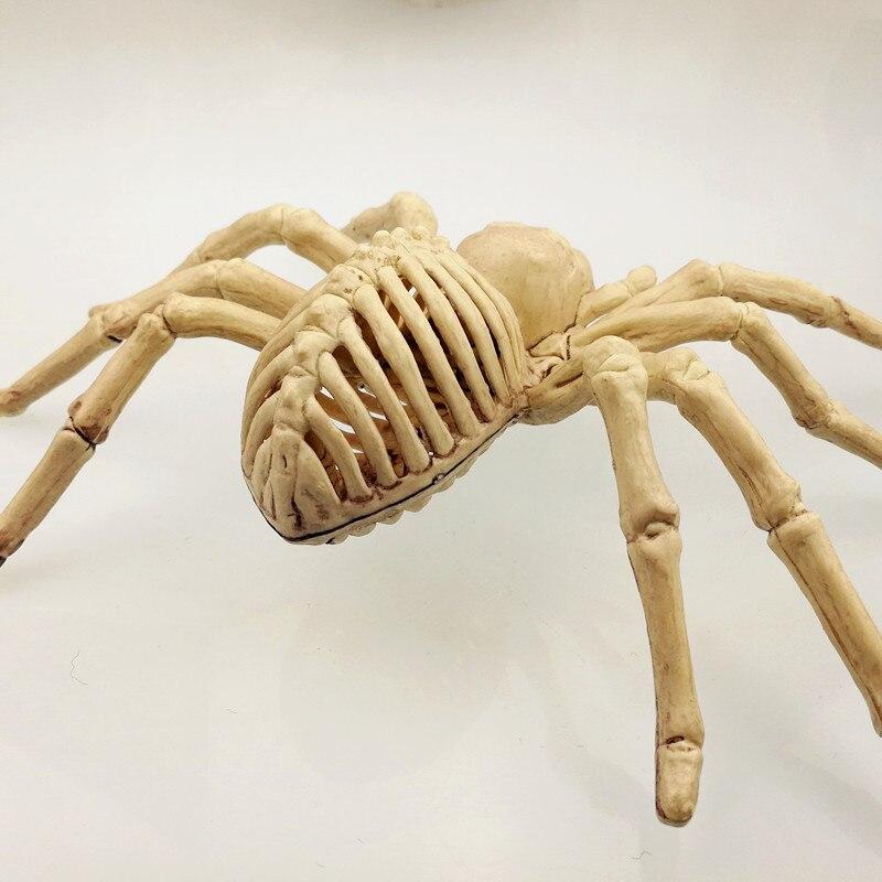 Araignée Squelette en Plastique