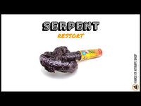 Faux Serpent Ressort