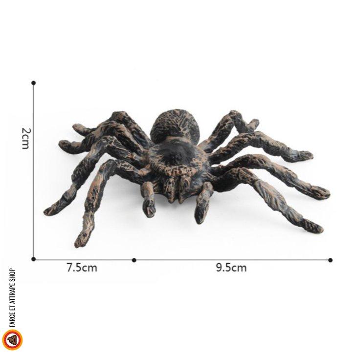 Fausse Araignée Noire Réaliste Dimensions