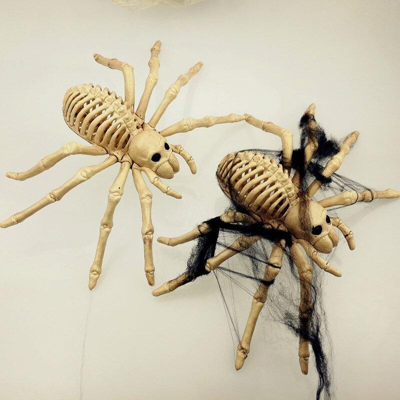 Spider Skeleton<br>