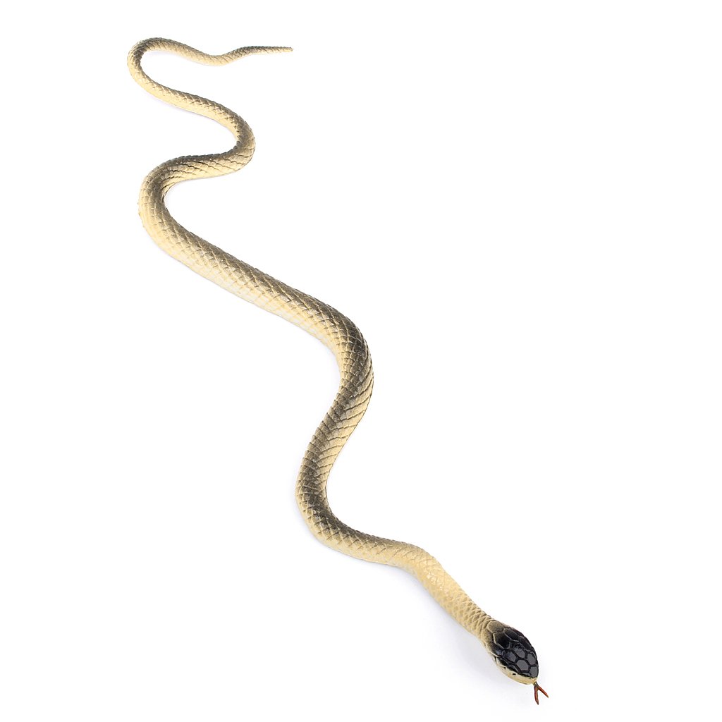 Toy Snake Plastic