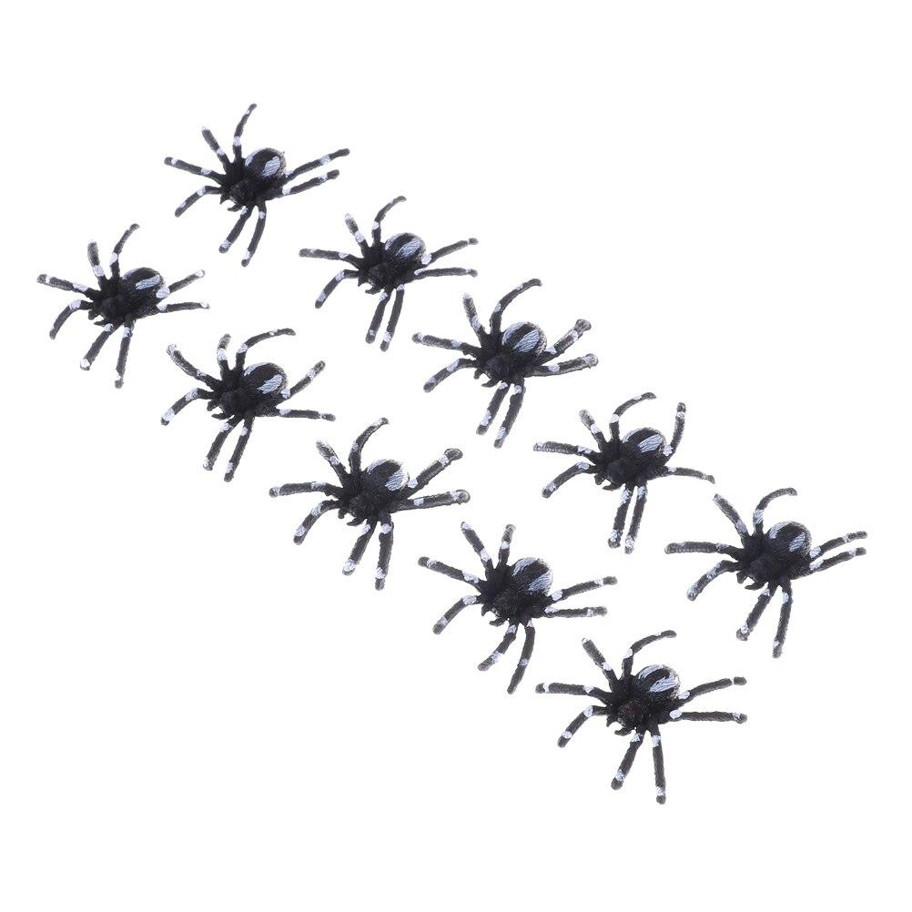 Spider Plastic<br>