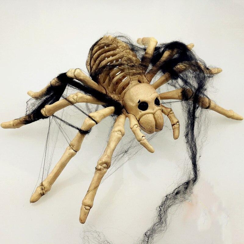 Spider Skeleton<br>